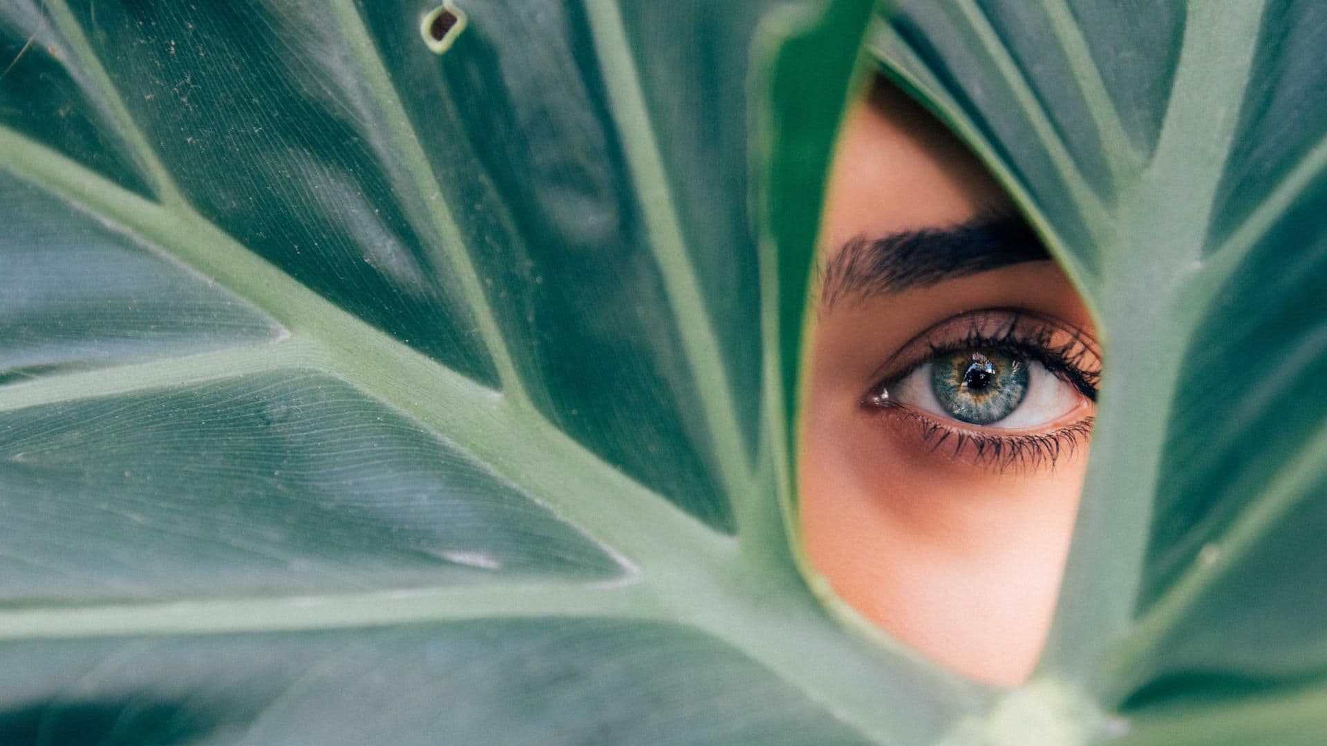 halal-beauty-quer halal-beauty-quer