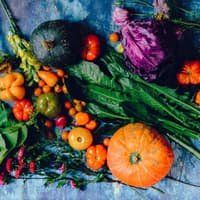 Buntes regionales Gemüse auf einem Tisch Buntes regionales Gemüse auf einem Tisch