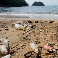 muell-quer muell-quer