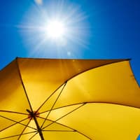 penis sommer quer penis sommer quer