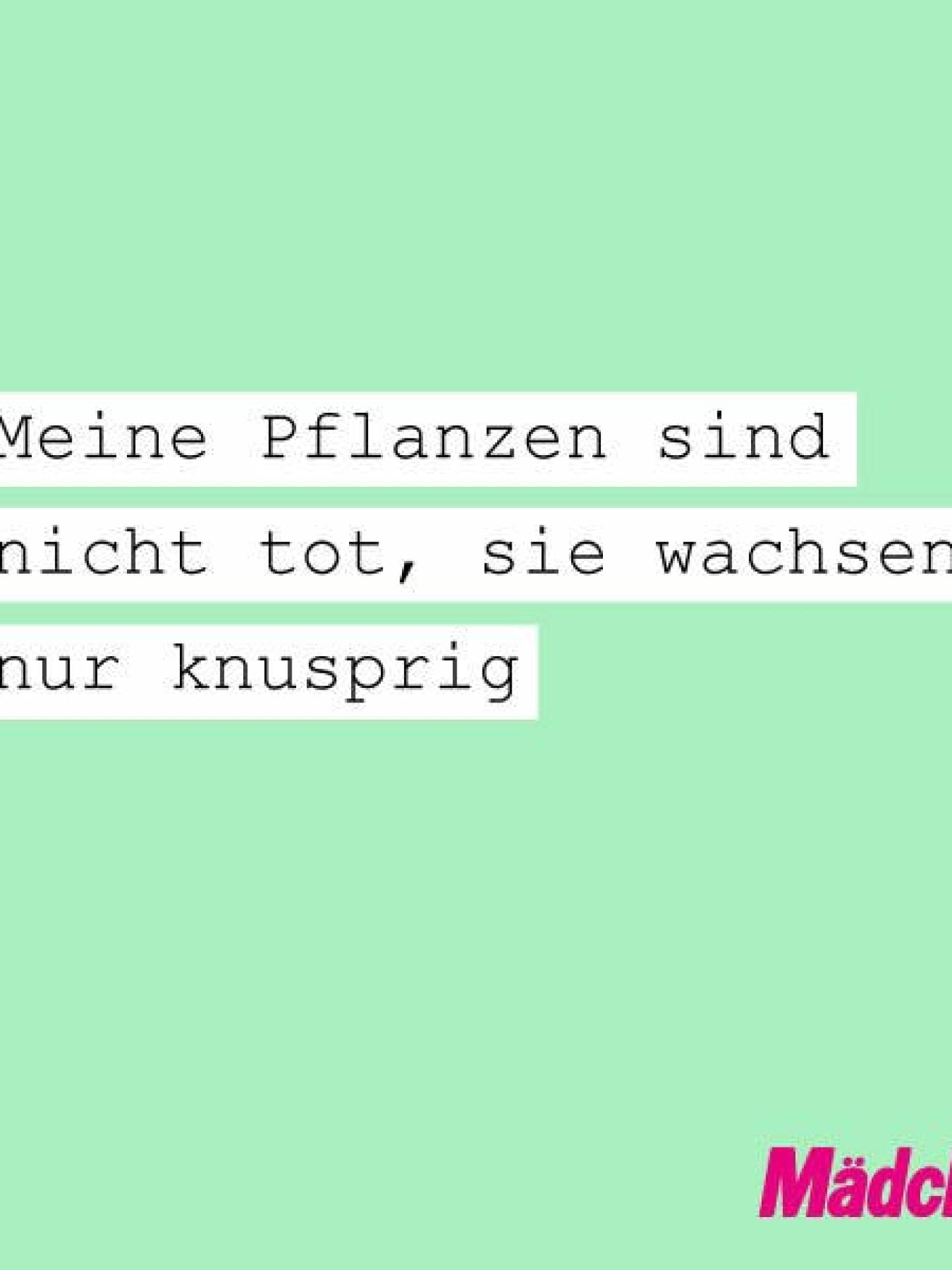 Kein grüner Daumen Kein grüner Daumen