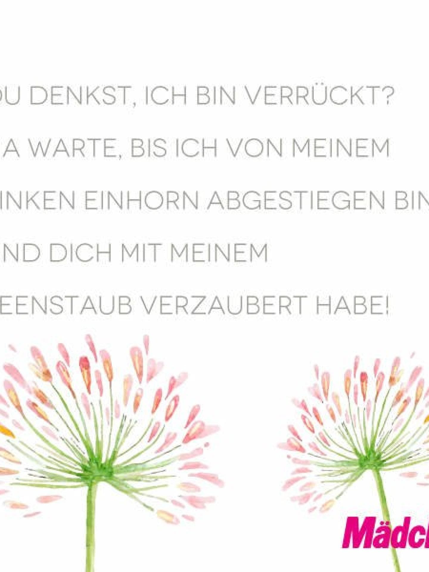 Witzige WhatsApp-Sprüche: Einhorn Witzige WhatsApp-Sprüche: Einhorn