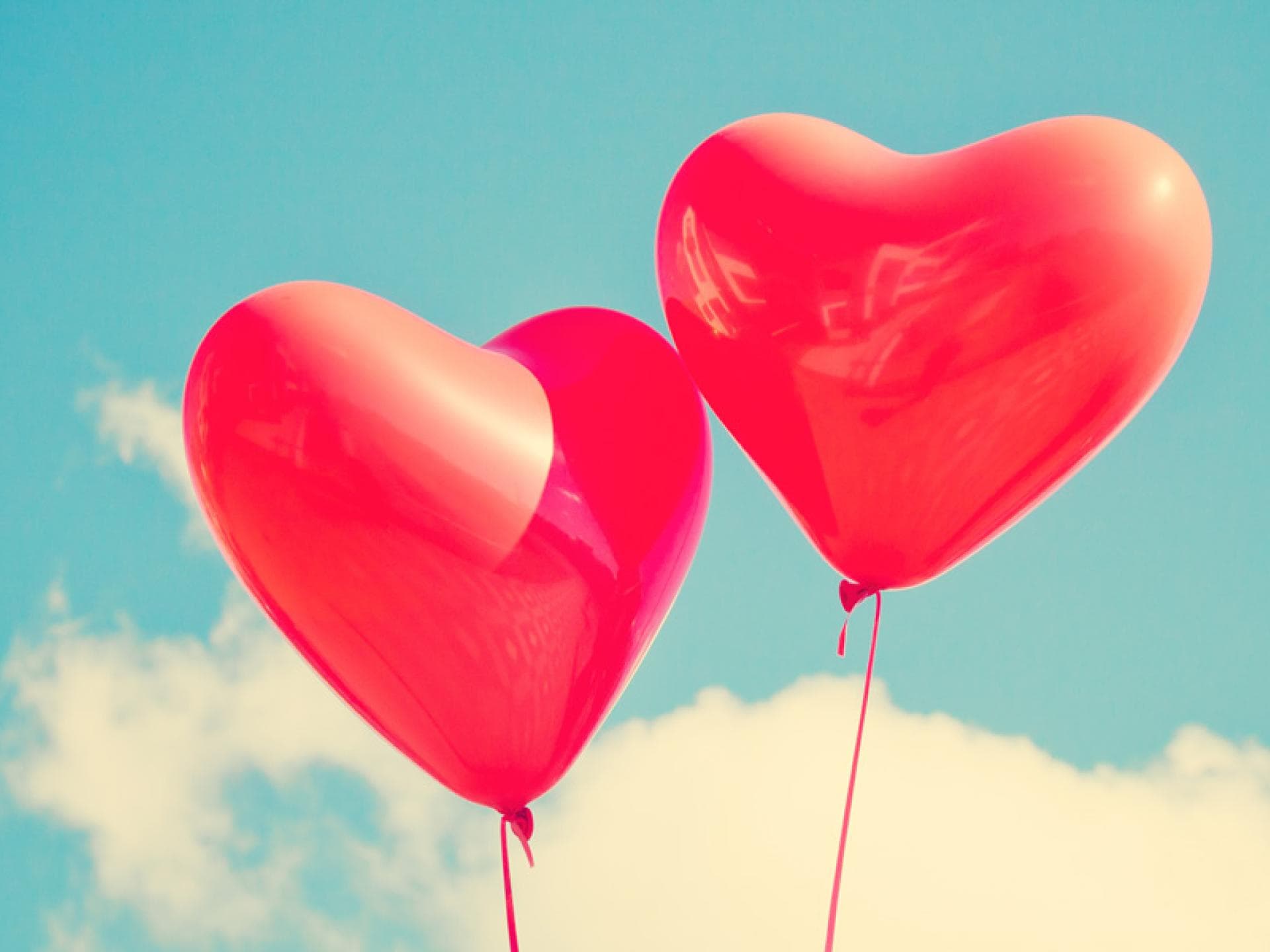 liebeslieder-quer liebeslieder-quer