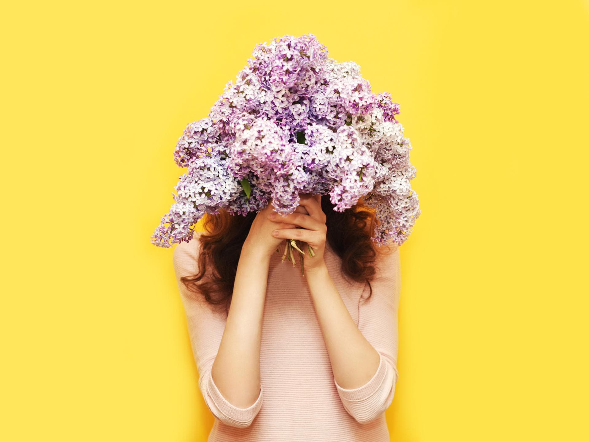 verstecke-dich-nicht verstecke-dich-nicht