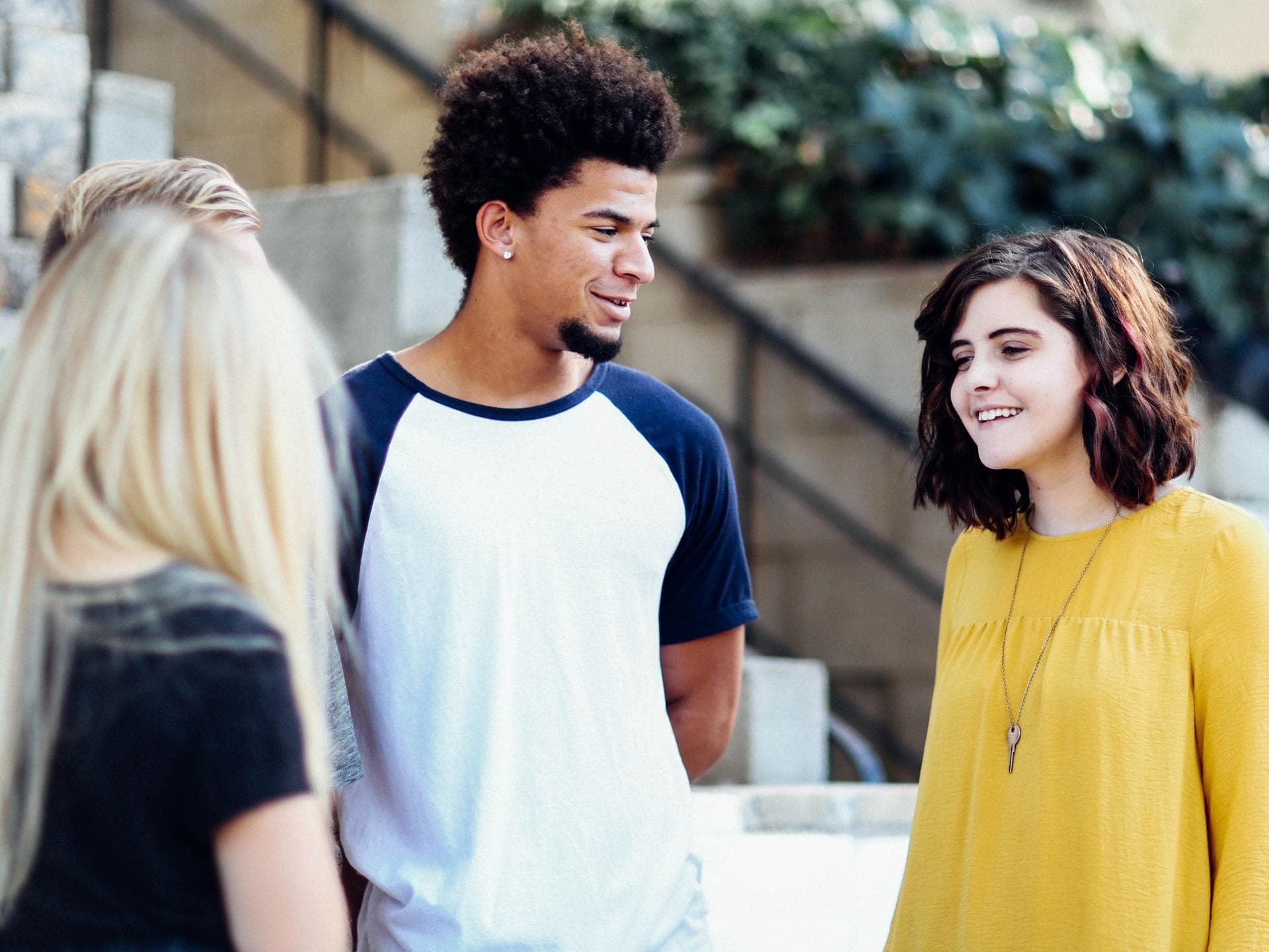 Schwarm aus der Schule Schwarm aus der Schule