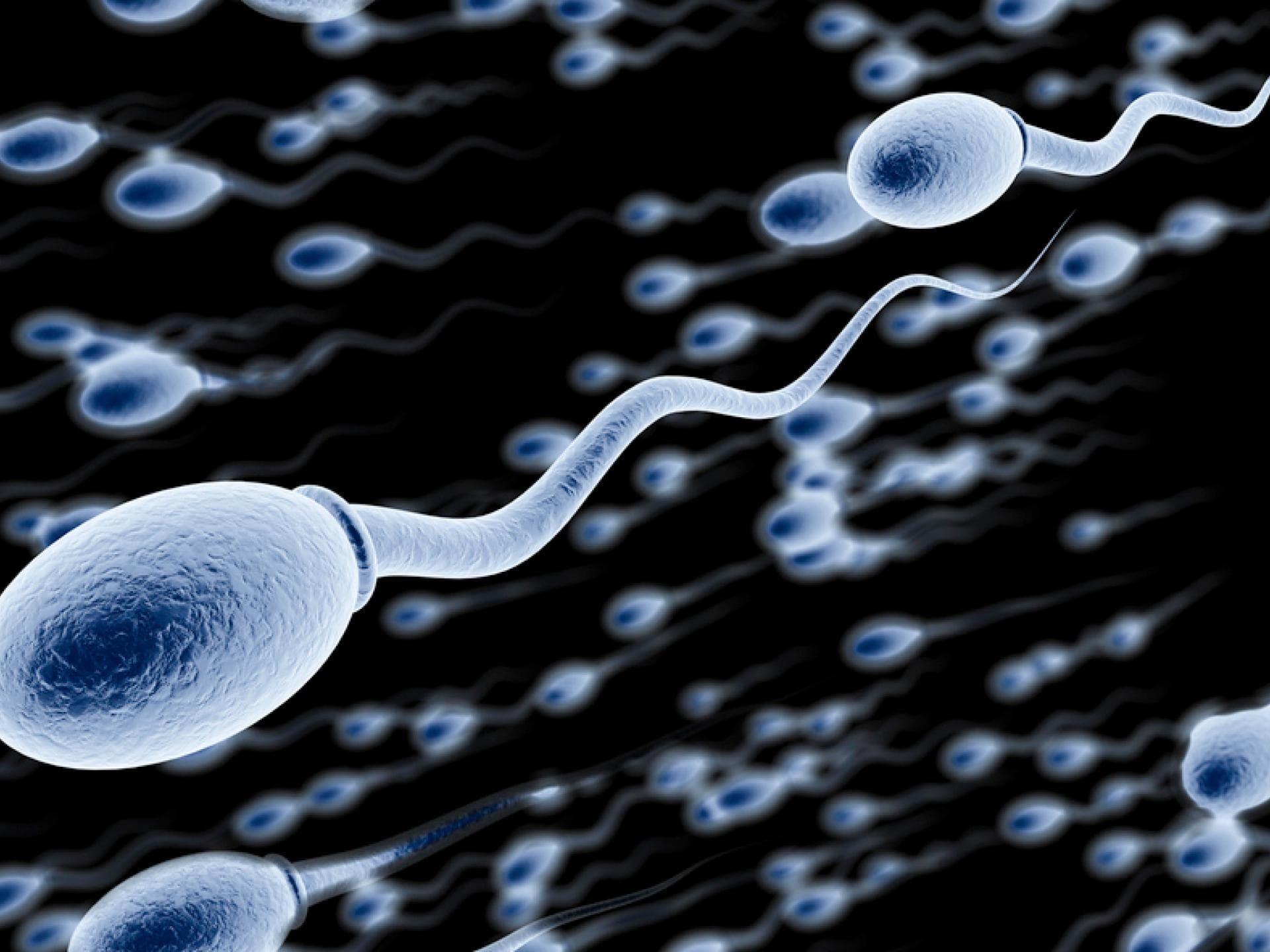 verrueckte-fakten-über-sperma verrueckte-fakten-über-sperma